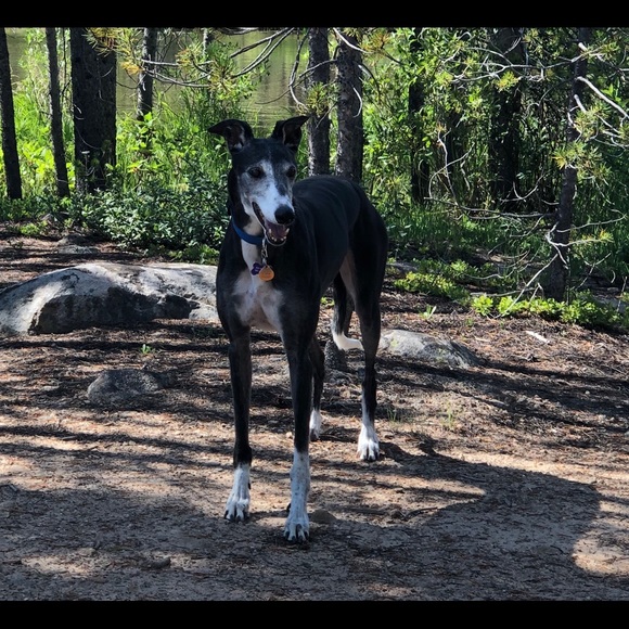 Meet your Posher, Ang - Picture 1 of 3